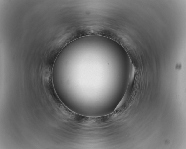 X0000090860129200708101227