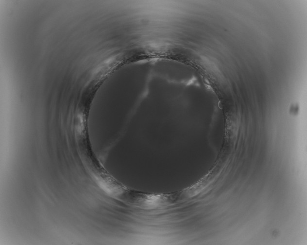 X0000090860130200708101227