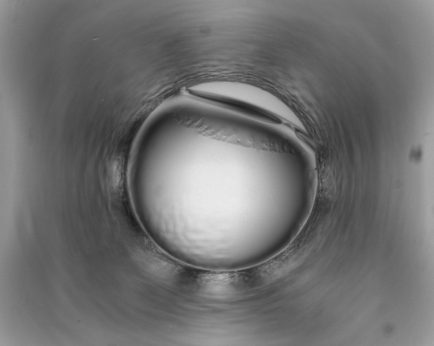 X0000090860131200708101227