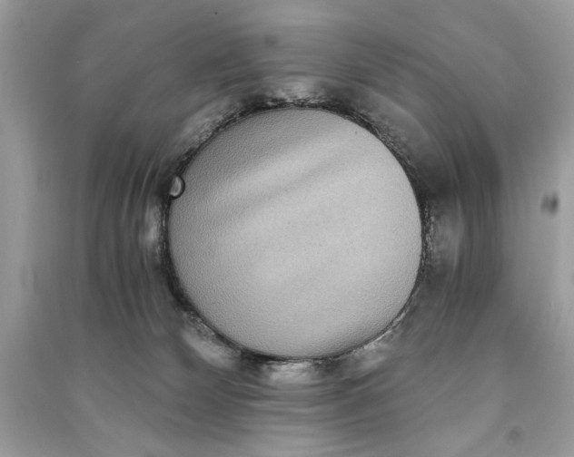 X0000090860132200708101227