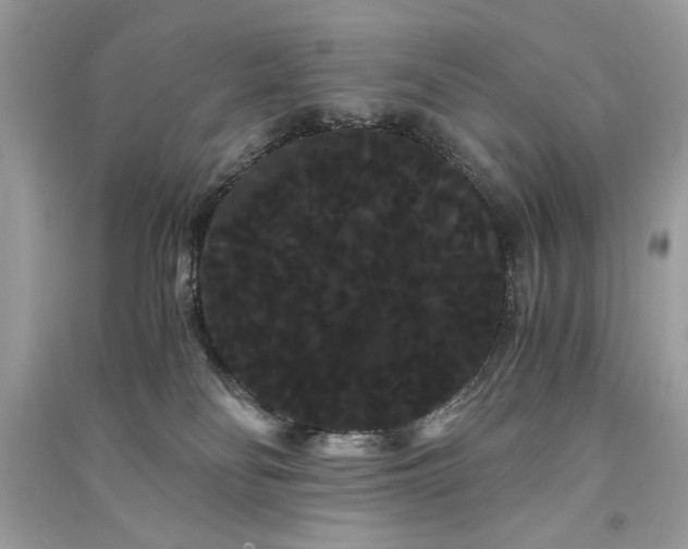 X0000090860134200708101227