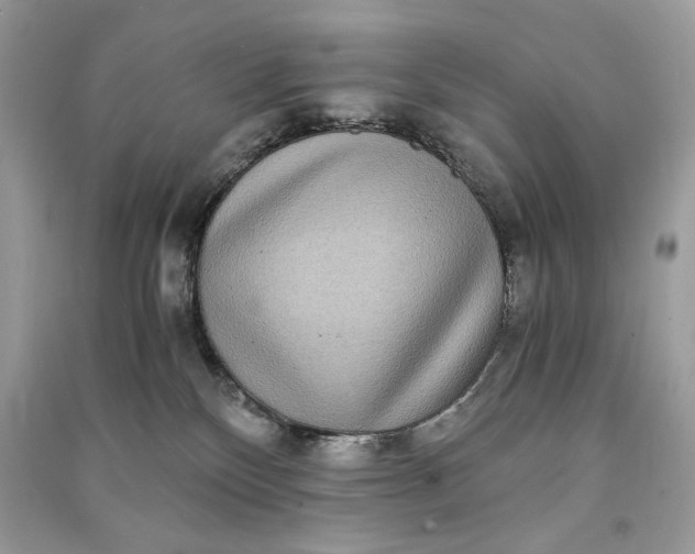 X0000090860136200708101227