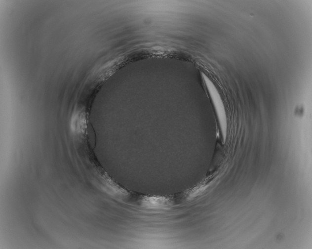 X0000090860137200708101227