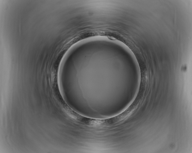 X0000090860139200708101227