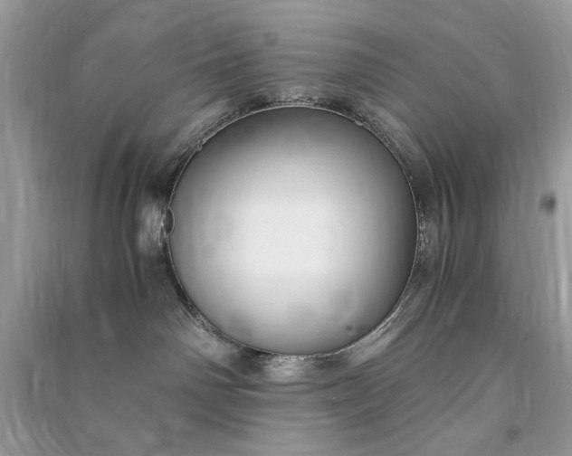 X0000090860142200708101227