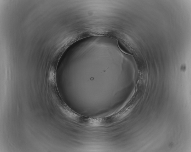 X0000090860143200708101227