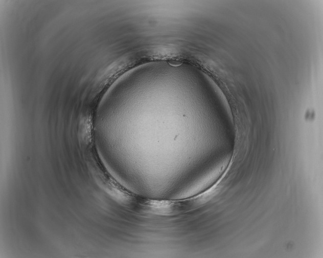 X0000090860144200708101227