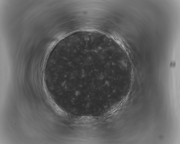 X0000090860145200708101226