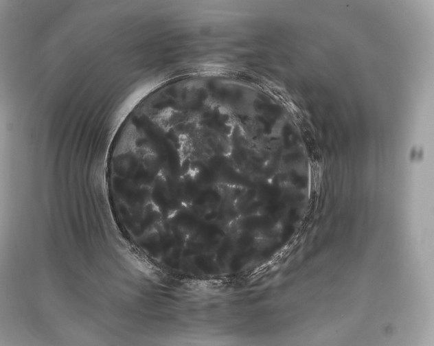 X0000090860147200708101226