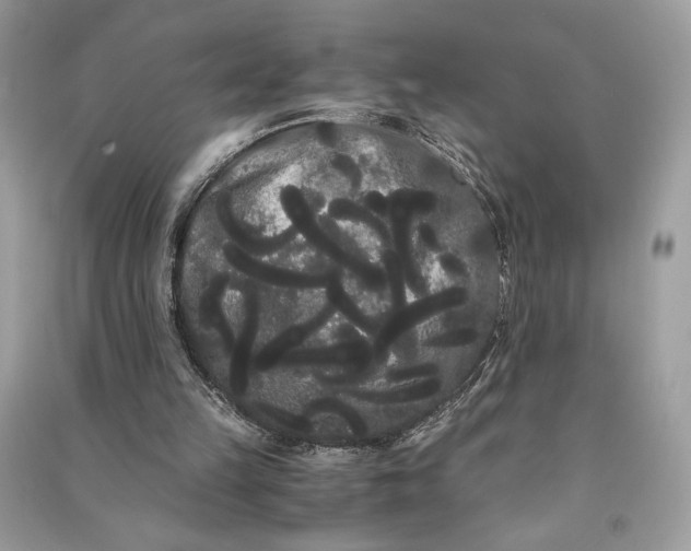 X0000090860149200708101227