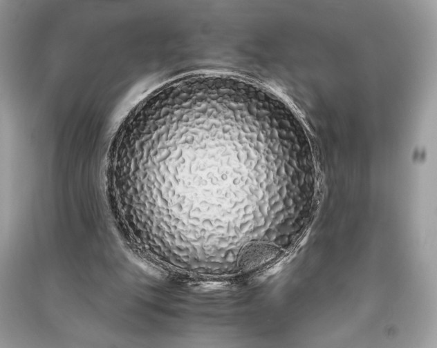 X0000090860151200708101227