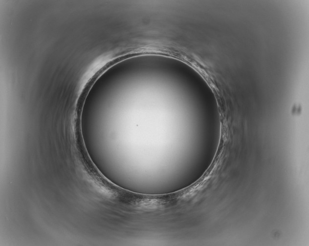 X0000090860152200708101227