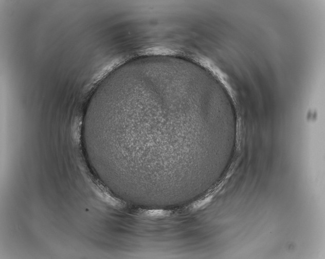 X0000090860153200708101227