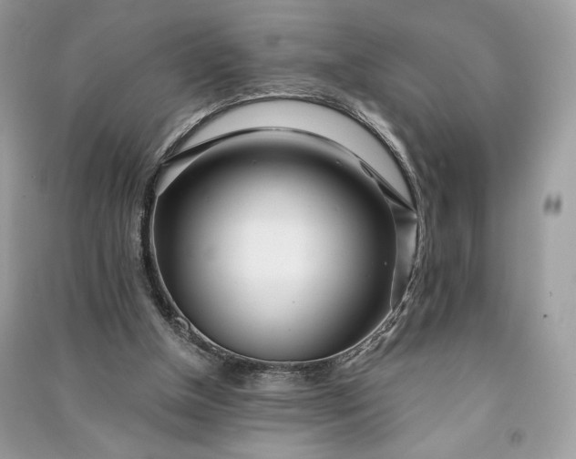 X0000090860154200708101227