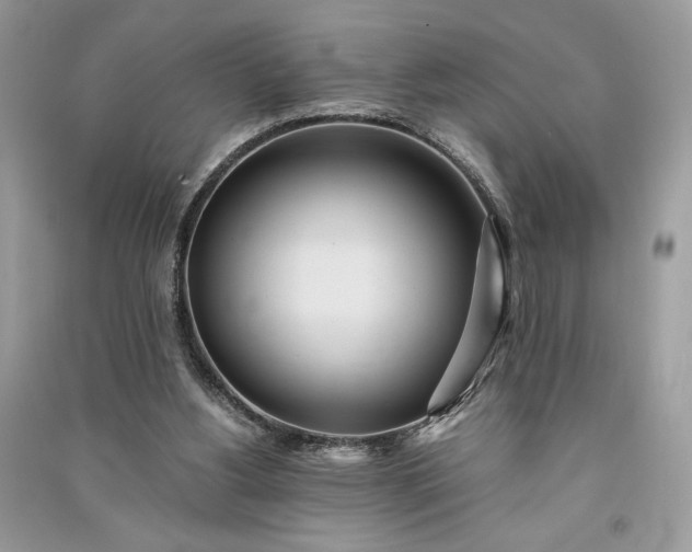 X0000090860156200708101227