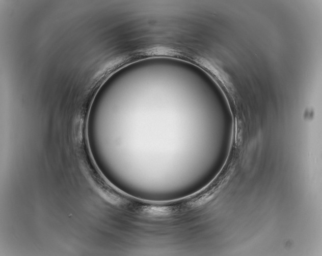 X0000090860157200708101227