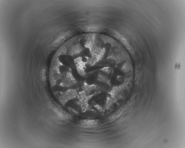 X0000090860161200708101227