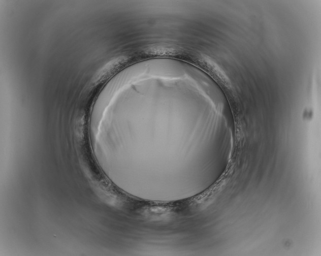 X0000090860163200708101227