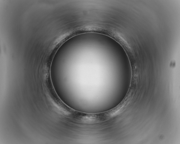 X0000090860164200708101227