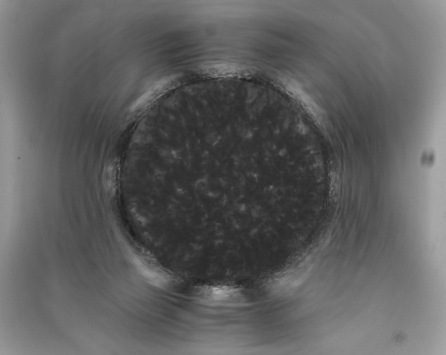 X0000090860165200708101227