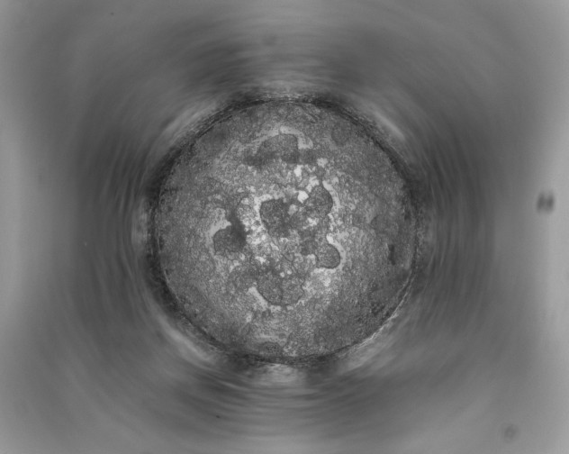 X0000090860166200708101227