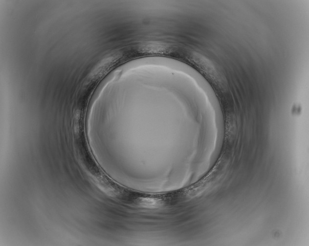 X0000090860167200708101227