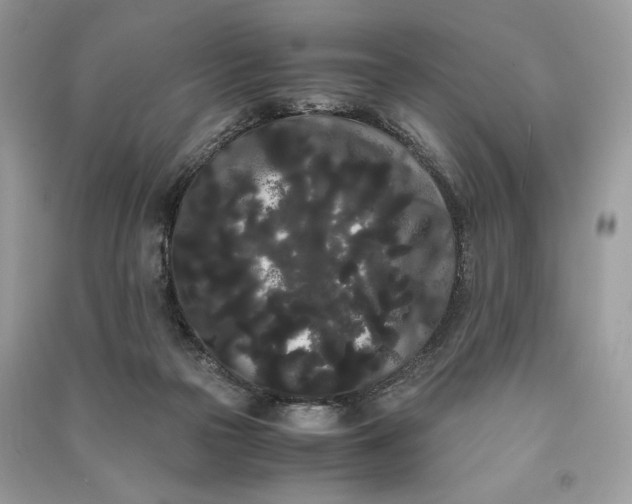 X0000090860169200708101227