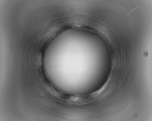 X0000090860174200708101227