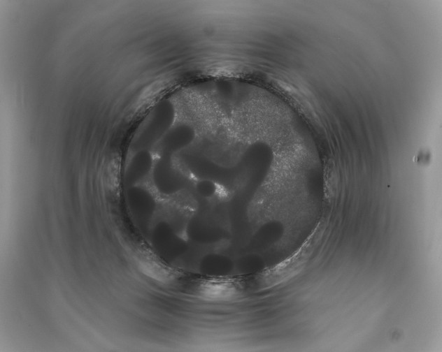 X0000090860175200708101227