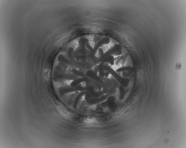 X0000090860177200708101227