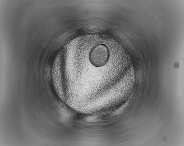 X0000090860178200708101227