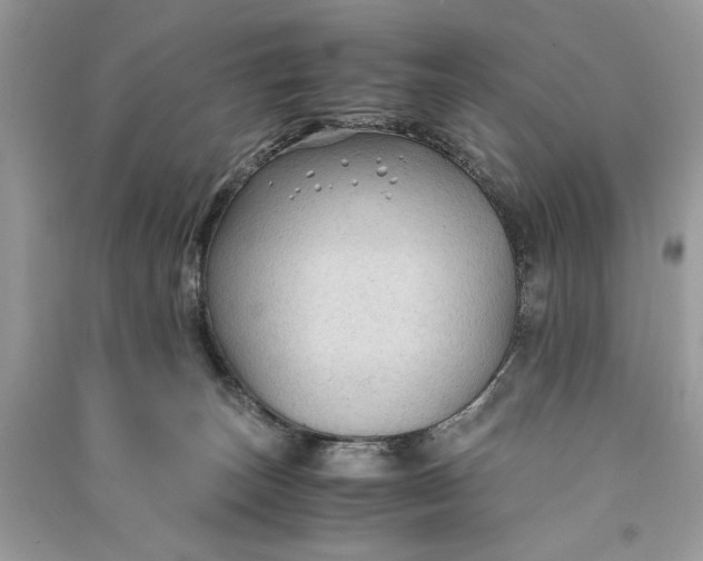 X0000090860179200708101227