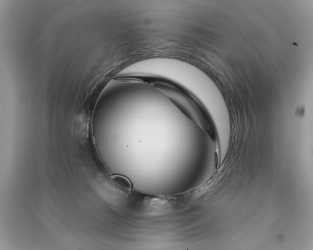 X0000090860180200708101227