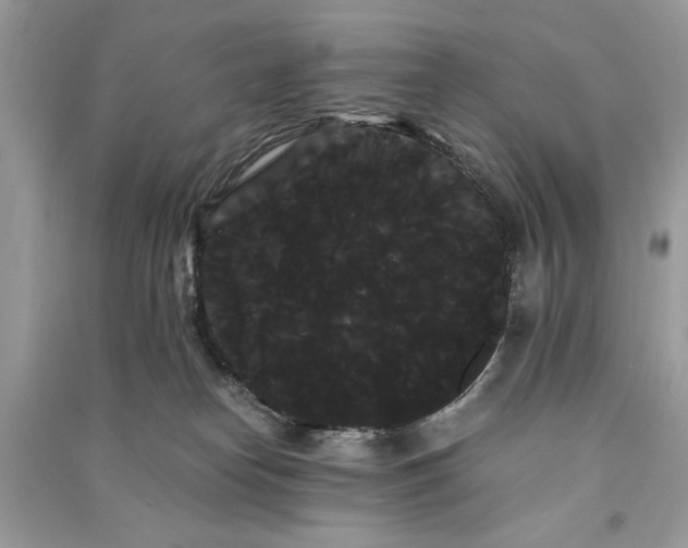 X0000090860182200708101227