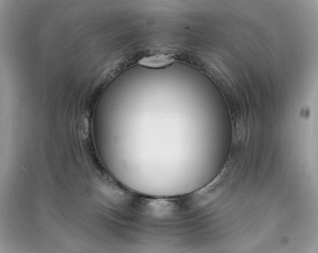 X0000090860183200708101227