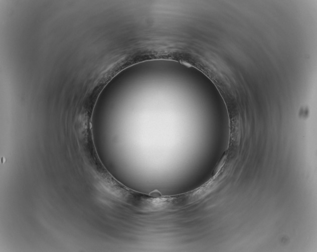 X0000090860184200708101227