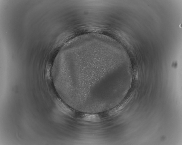 X0000090860185200708101227