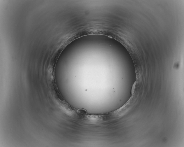 X0000090860187200708101227