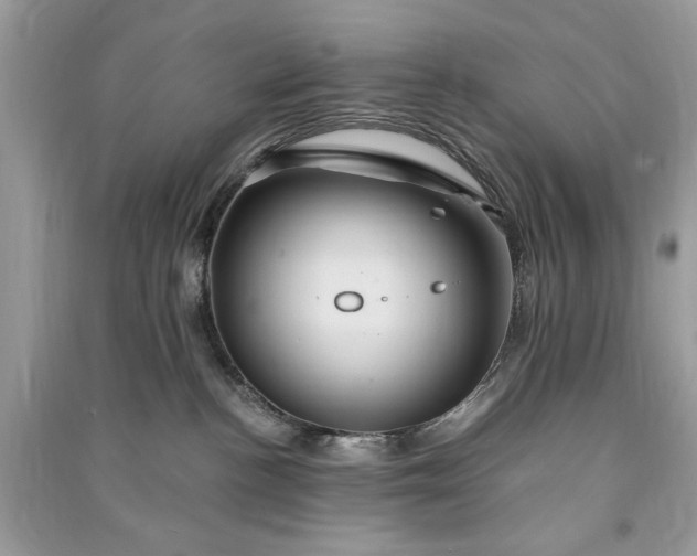 X0000090860188200708101227