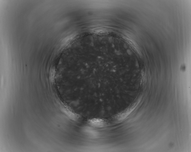 X0000090860189200708101227