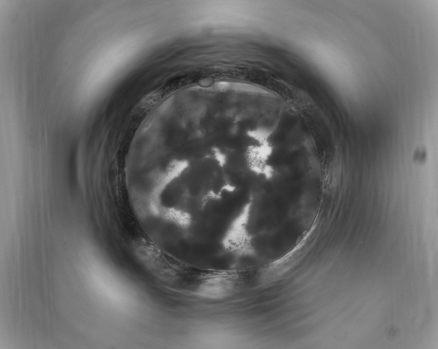 X0000090860191200708101227