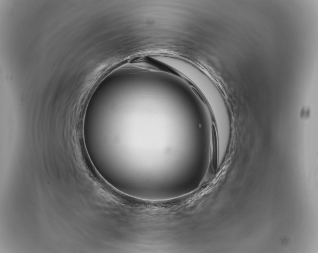 X0000090860193200708101226