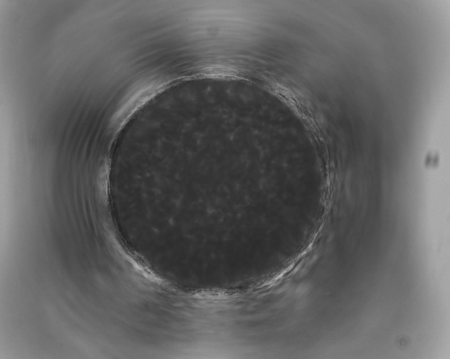 X0000090860194200708101226