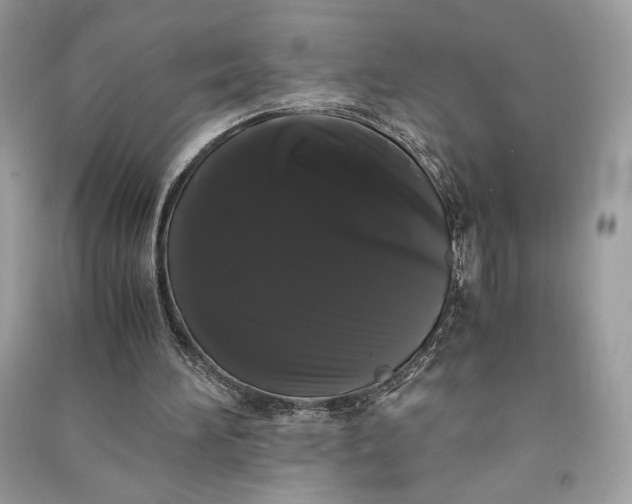 X0000090860196200708101226