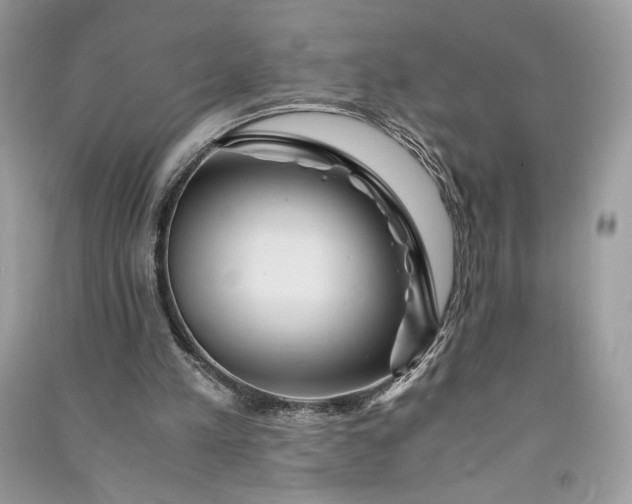 X0000090860197200708101226