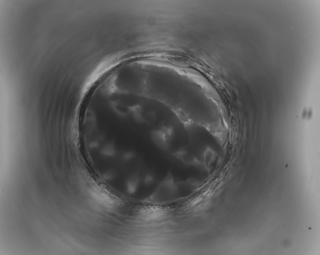 X0000090860198200708101226