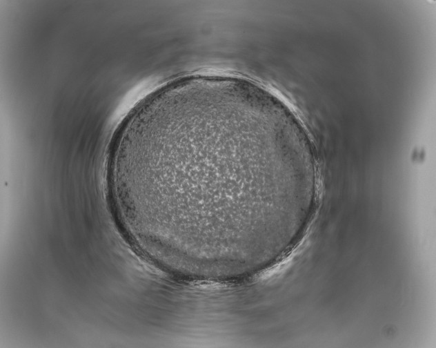 X0000090860199200708101226