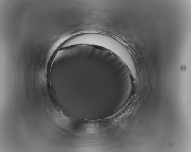 X0000090860200200708101226