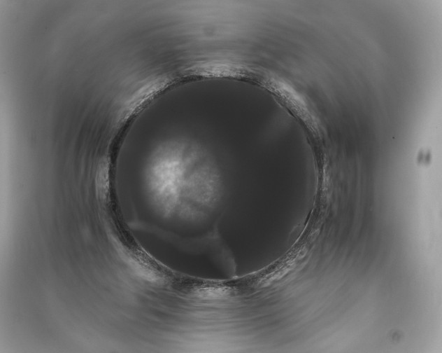 X0000090860202200708101226