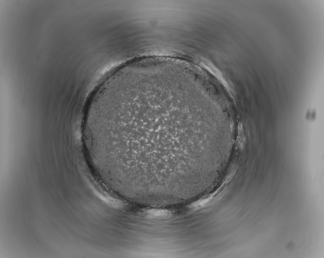 X0000090860203200708101226